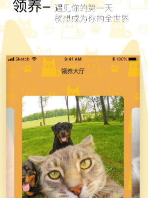 街猫app怎么看猫屋的位置