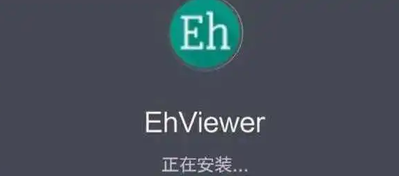 ehviewer加载不出来图片