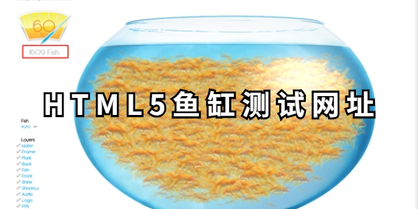 html5鱼缸测试网址