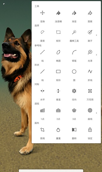 painter官网版 v6.5.6截图2