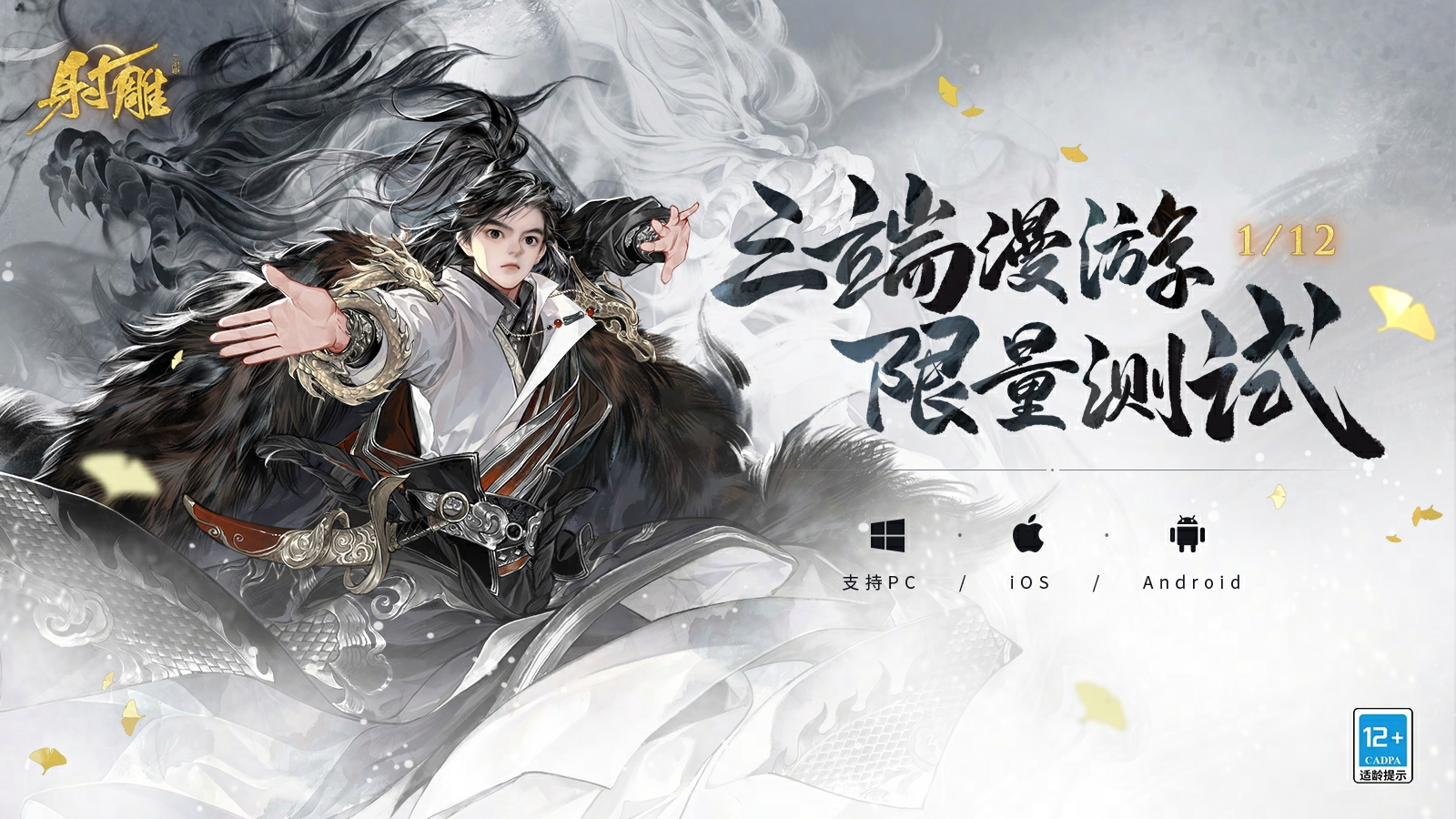 射雕公测版 v1.0截图4