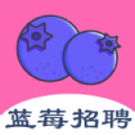 蓝莓招聘官方版 v1.0.0