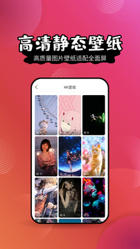 梦金壁纸 v1.0.2截图1