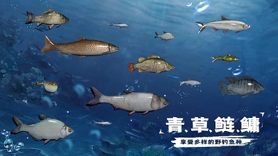 天天钓鱼正版官方 v0.1.0.0截图1