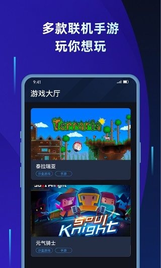 蒲公英联机平台官方版 v1.2截图1
