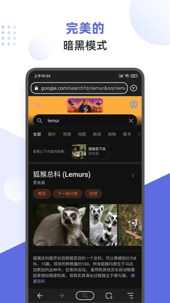 狐猴浏览器 v2.4.0.003截图1
