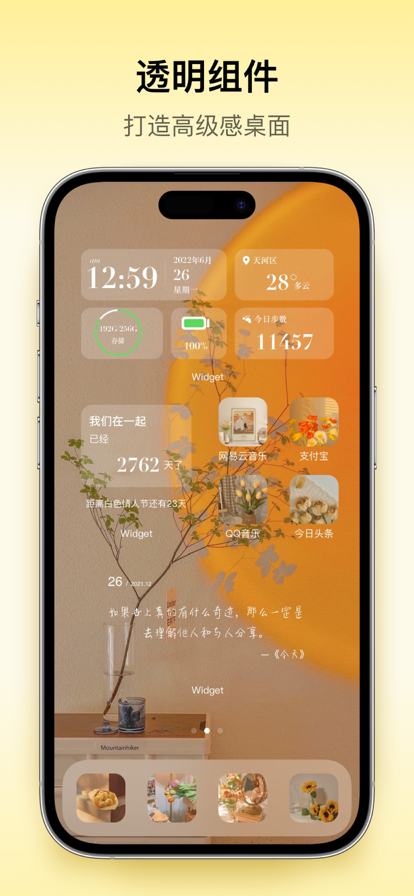 ColorfulWidget官网版 v4.6.0m截图5