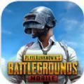 pubg地铁逃生国际服 v0.9.5.29