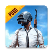 pubg中文版 v2.4.0