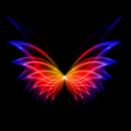 动态壁纸秀秀免费版 v1.0