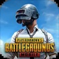 pubg国际服2024 v2.4.0