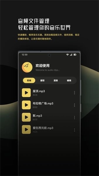 音乐时刻剪辑助手 v1.1截图3