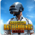 pubg地铁逃生正版 v3.0