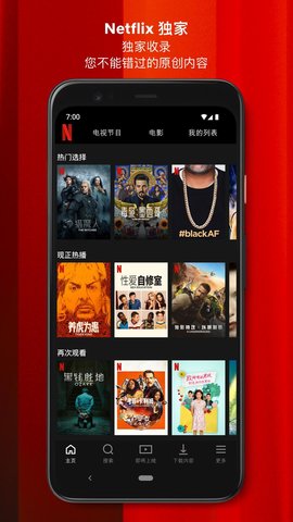 网飞 v3.1.2截图4