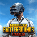 pubg日韩服 v3.21