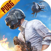 PUBG国际服官方 v3.13.6