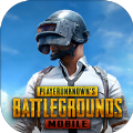 pubg国际服手机入口 v0.9.5.29