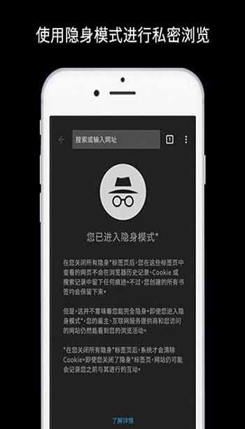 谷歌浏览器官网 v65.0.3325.109截图2