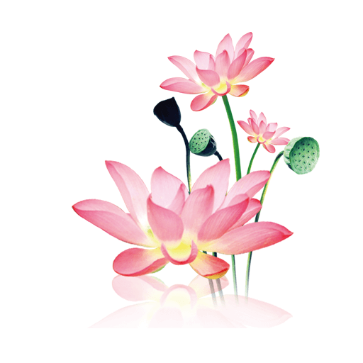 水墨工具箱 v1.1.8